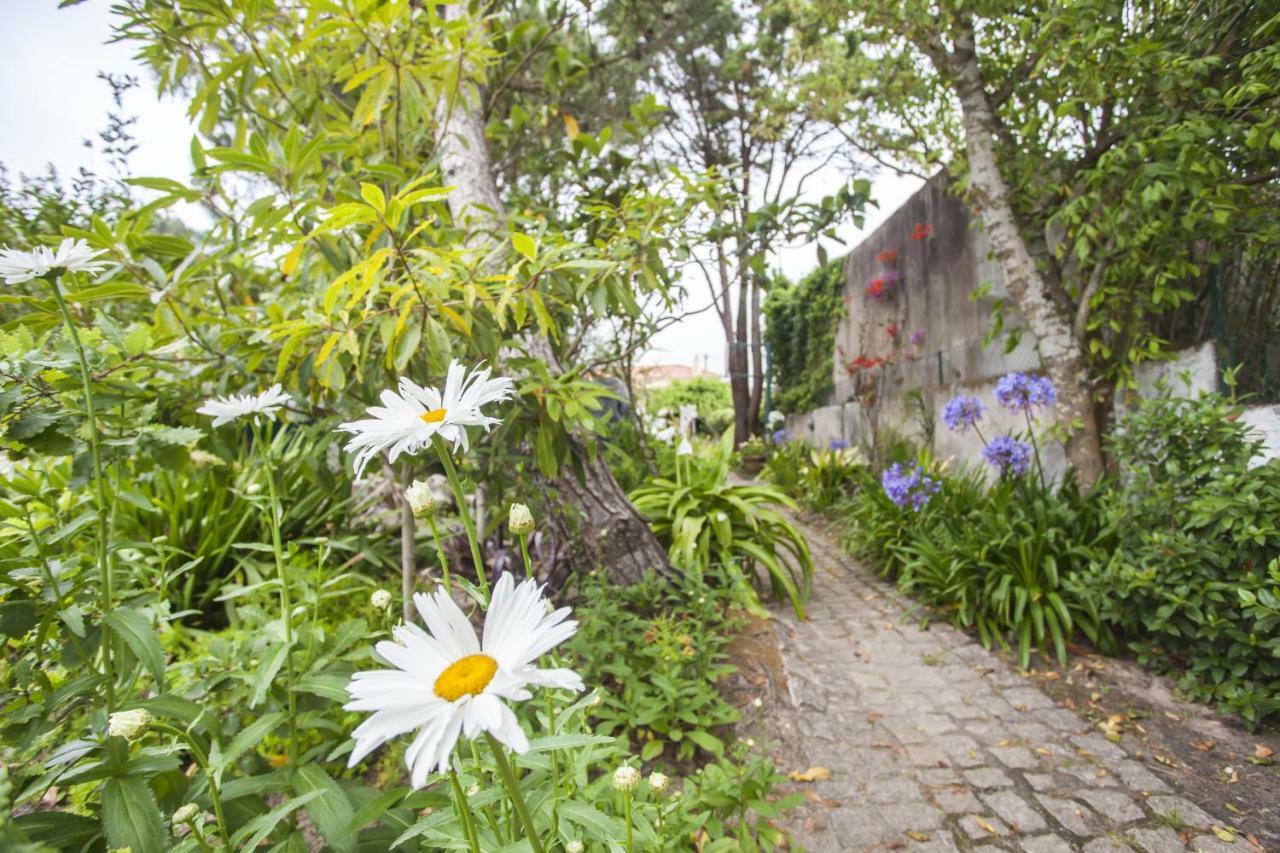 Beautiful Country House&Romantic Garden 辛特拉 外观 照片