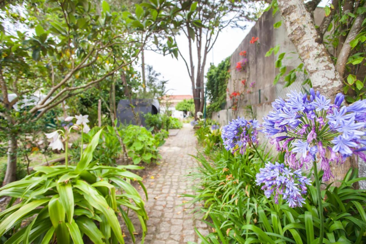Beautiful Country House&Romantic Garden 辛特拉 外观 照片